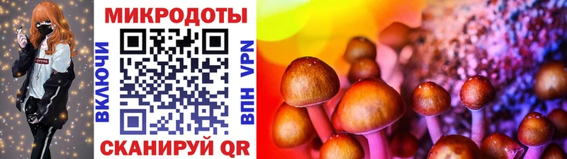 Галлюциногенные грибы мухоморы  omg ссылки  Пойковский 